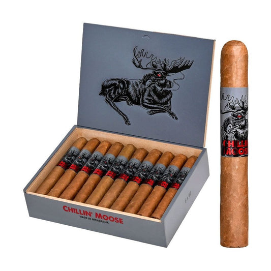 Chillin Moose Originals Toro 52X6 Box of 20